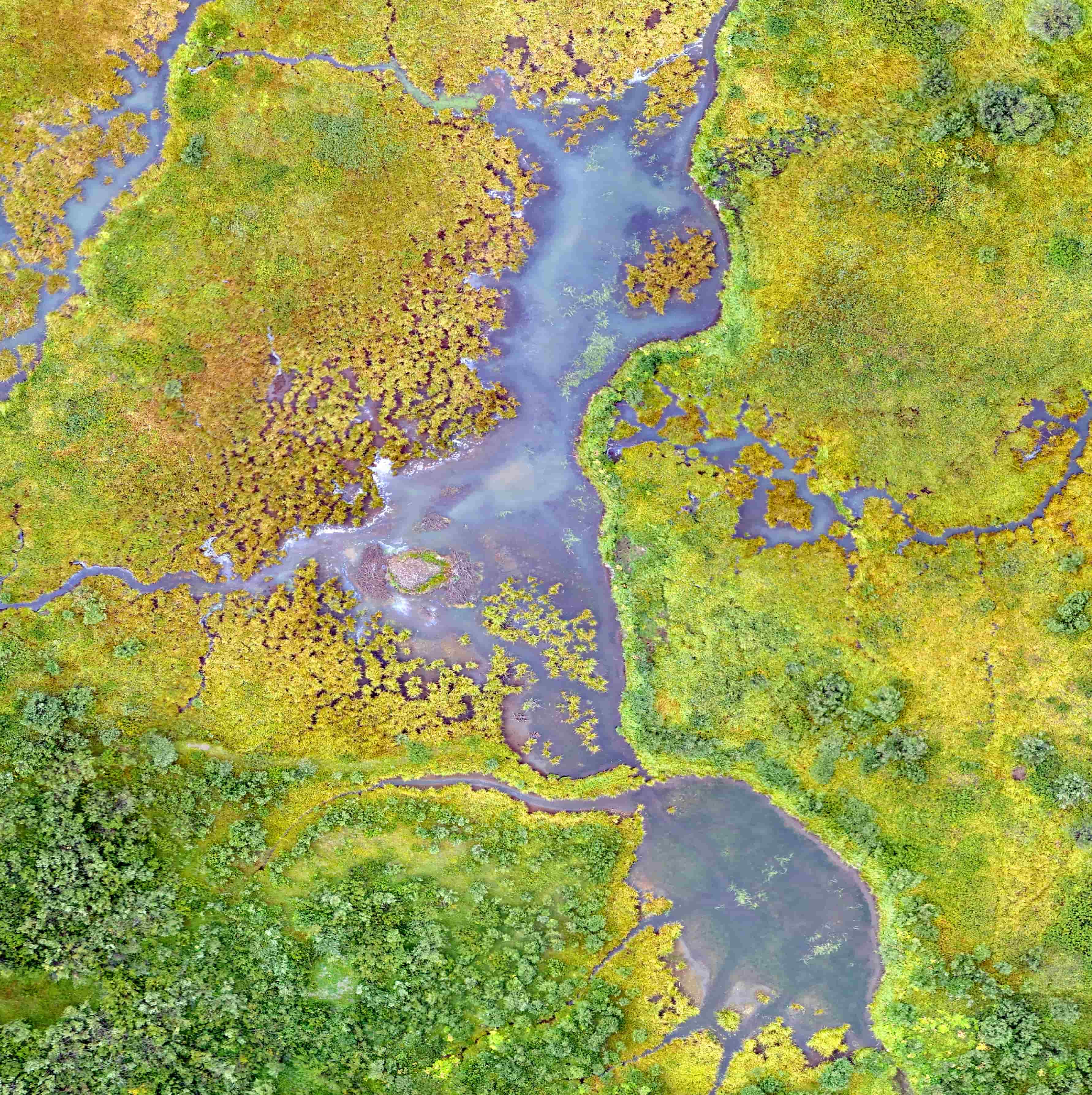 Structured recording of carbon monitoring data and metadata